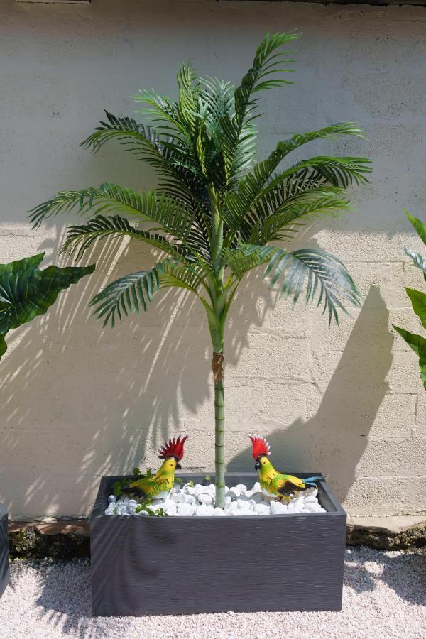 L'Escale Tropicale, Appartement Independant Avec Terrasse Privative แซ็ง-ก็องแต็ง ภายนอก รูปภาพ